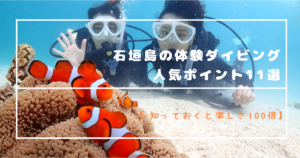 石垣島の体験ダイビング人気ポイント11選【知っておくと楽しさ100倍】